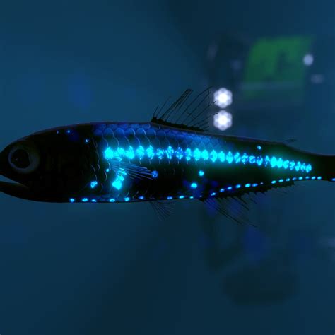 lantern fish|Lanternfish .
